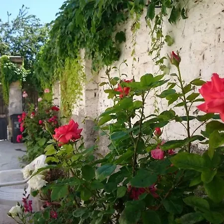 Apartment Korca Backpackers Hostel Korce